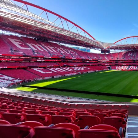 Benfica Stadium