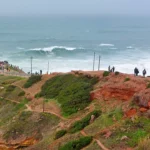 Gallery Thumbnail 0