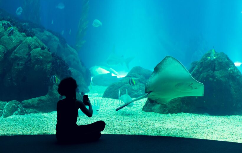 17 - Tailor-Made Half Day