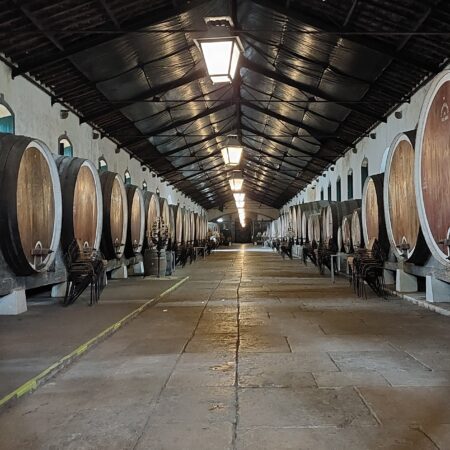 Wineries Around Lisbon