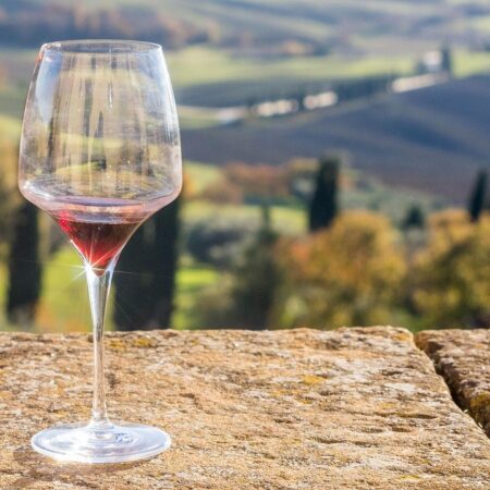 Wineries Around Lisbon