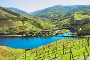 08 - Wineries Tour