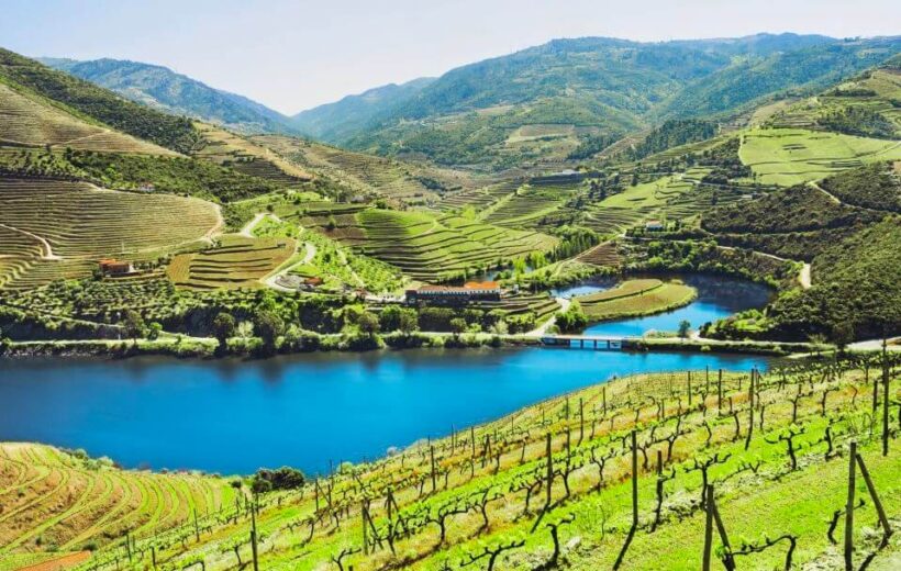 08 - Wineries Tour